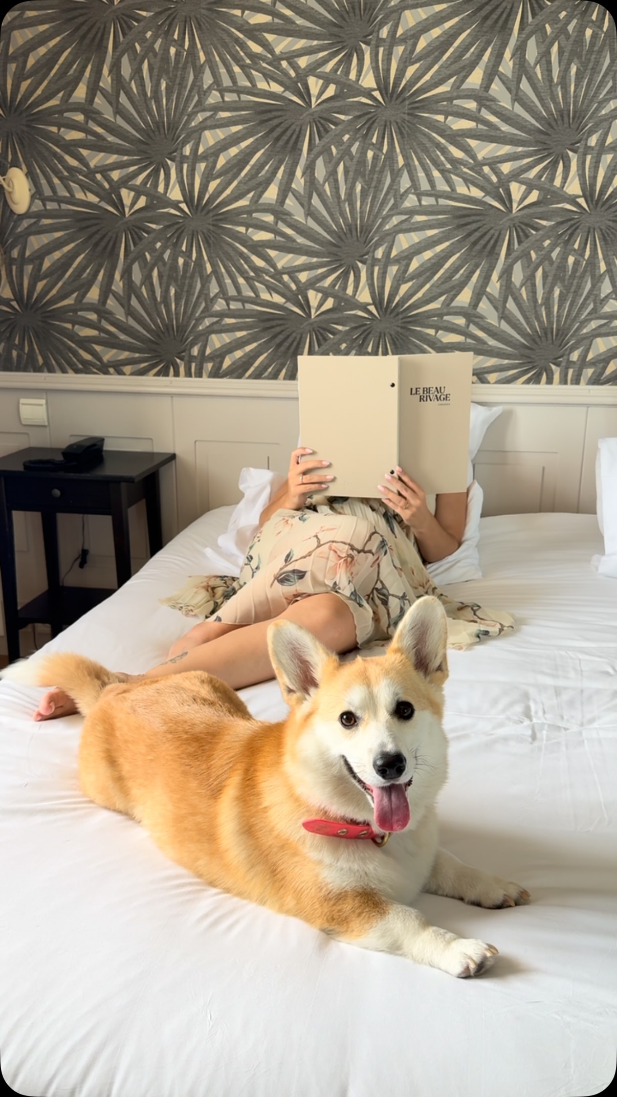Room service reading hour, dog’s review included 🐕✨
@beaurivage_condrieu 
 dogsofinstagram corgi travelwithdog
#hotellife #roomservice dogmom
Dog travel
Travel
Pet travel
Explore
News
Newspaper
Luxury hotel
Dog show
Crufts
Hair
Airline
Airport
Pet friendly
Dog friendly