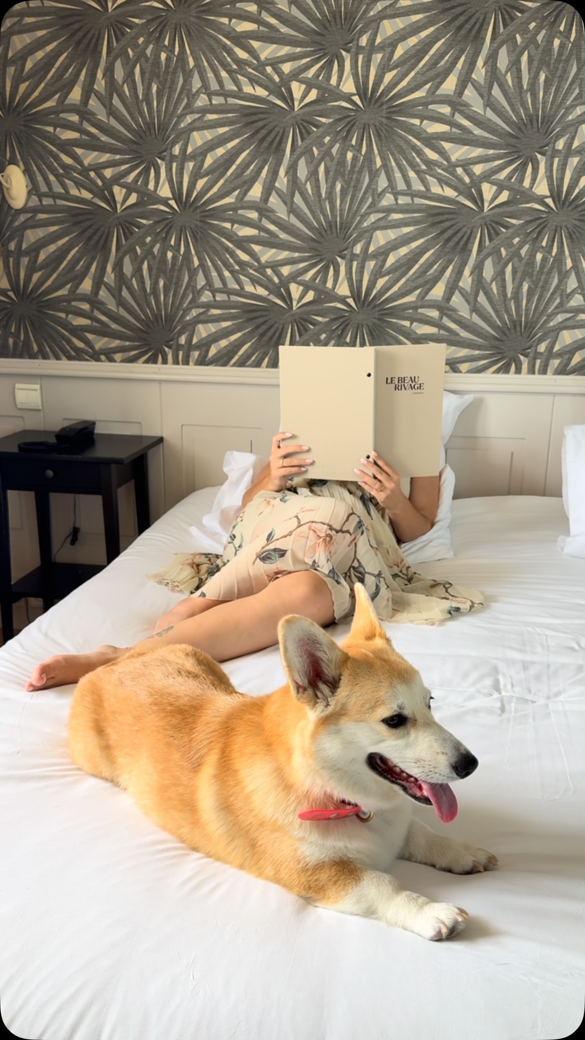 Room service reading hour, dog’s review included
🐕✨
@beaurivage_condrieu
dogsofinstagram corgi travelwithdog #hotellife #roomservice dogmom
Dog travel
Travel
Pet travel
Explore
News
Newspaper
Luxury hotel
Dog show
Crufts
Hair
Airline
Airport
Pet friendly
Dog friendly